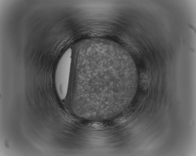 X0000096480506200802211217
