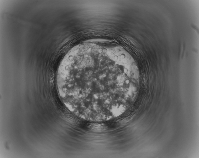 X0000096480507200802211217