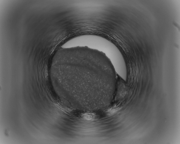 X0000096480508200802211217