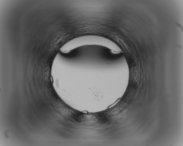 X0000096480509200802211217