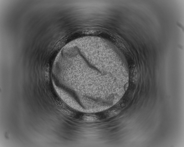 X0000096480510200802211217