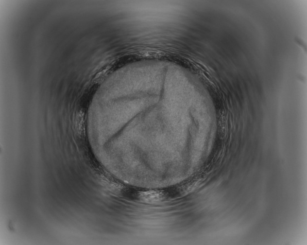 X0000096480511200802211217