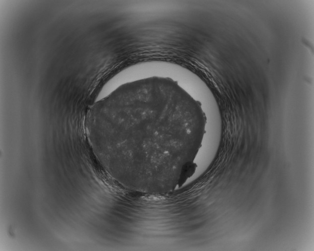 X0000096480512200802211217