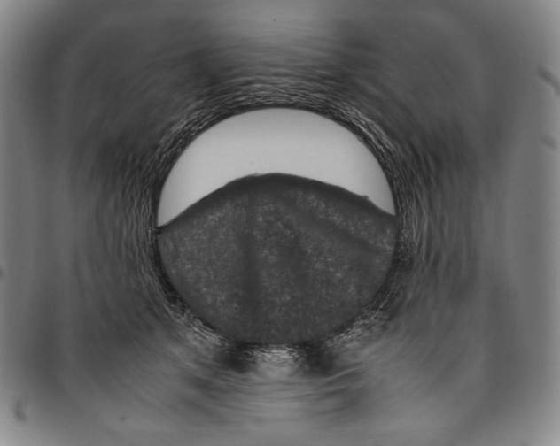 X0000096480513200802211217