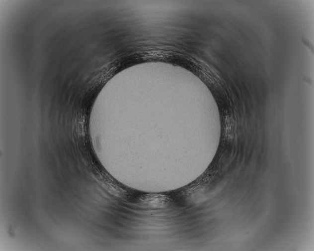 X0000096480514200802211217