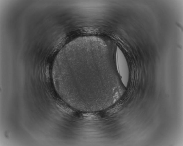 X0000096480516200802211217
