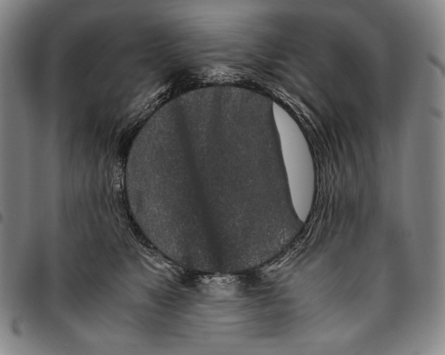 X0000096480517200802211217