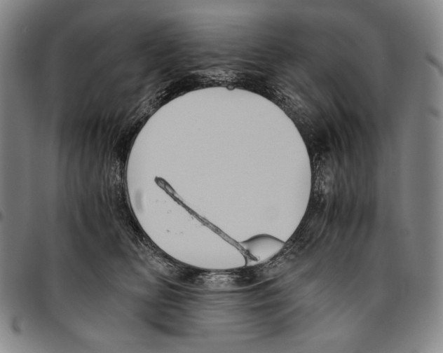X0000096480518200802211217