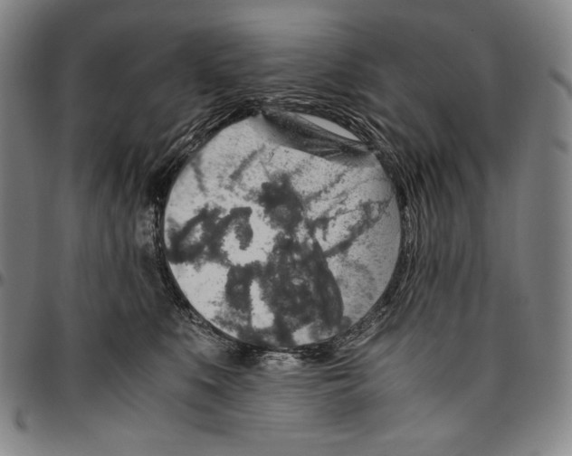 X0000096480519200802211217
