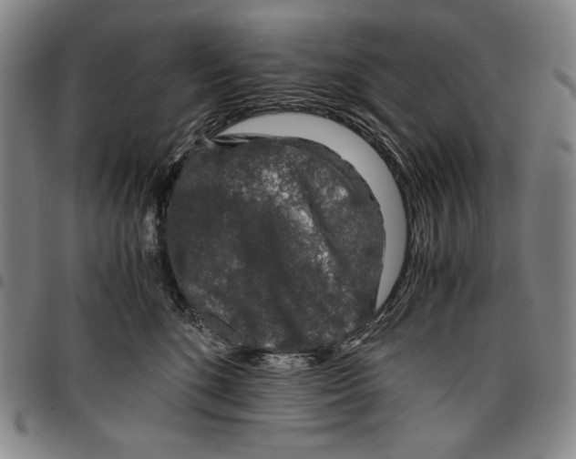 X0000096480520200802211217