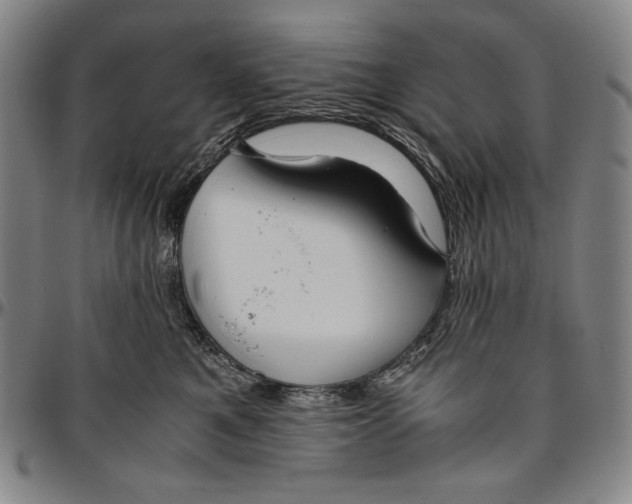 X0000096480521200802211217