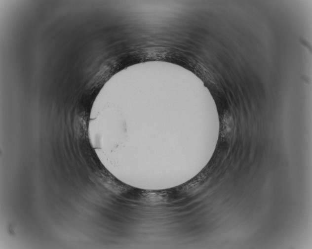 X0000096480522200802211217