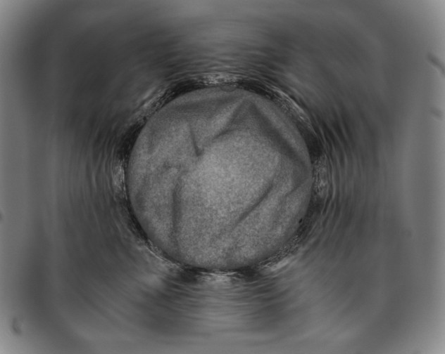 X0000096480523200802211217