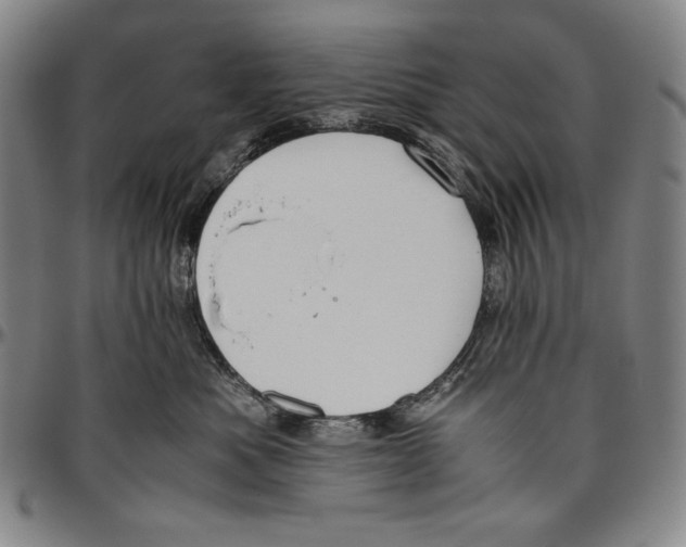 X0000096480525200802211217