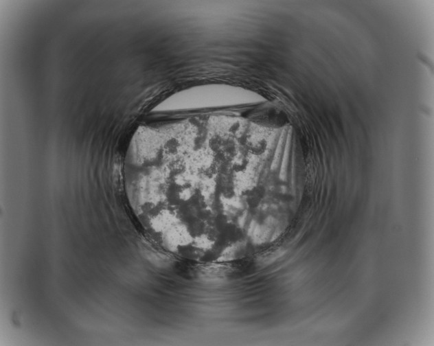 X0000096480527200802211217