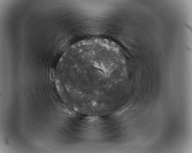 X0000096480528200802211217