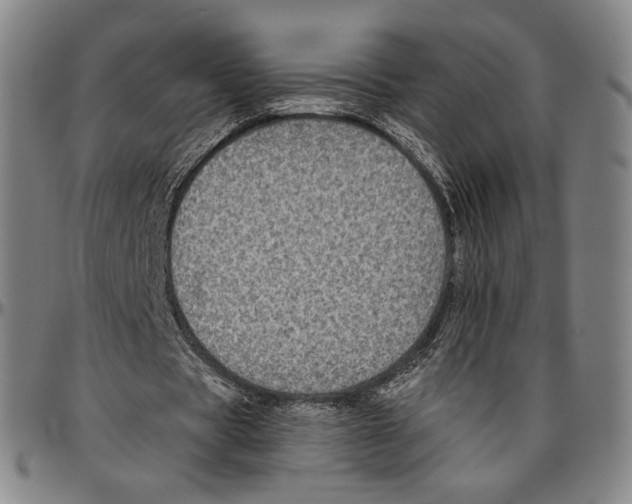 X0000096480529200802211216