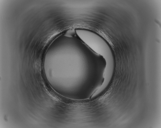 X0000096480530200802211216