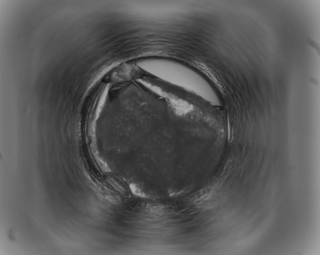 X0000096480531200802211216