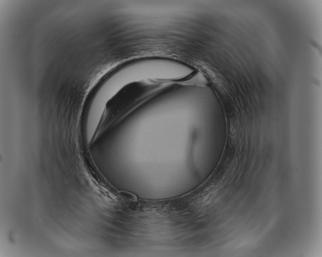 X0000096480532200802211216