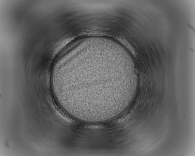 X0000096480533200802211216