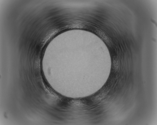 X0000096480534200802211216