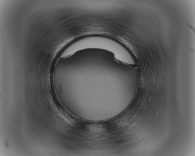 X0000096480535200802211216