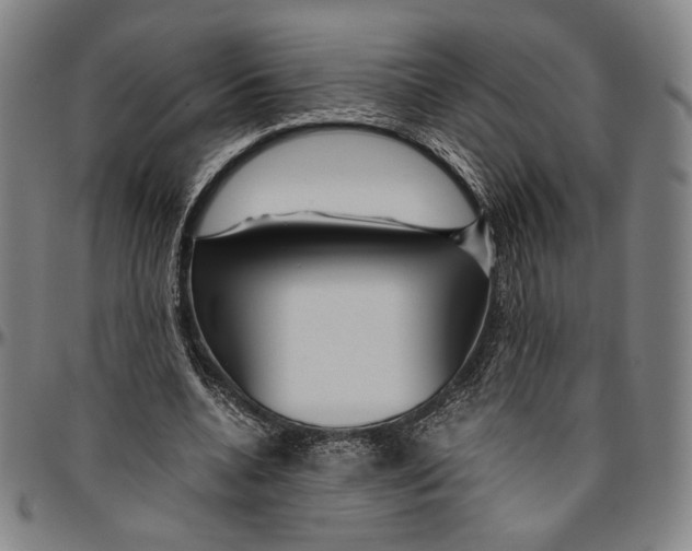 X0000096480536200802211216