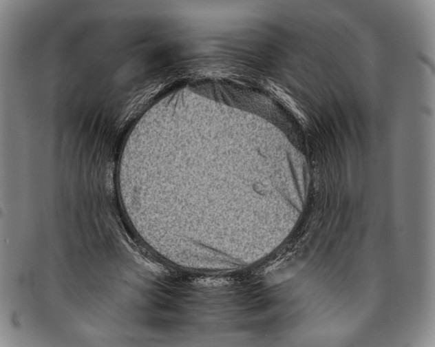 X0000096480537200802211216