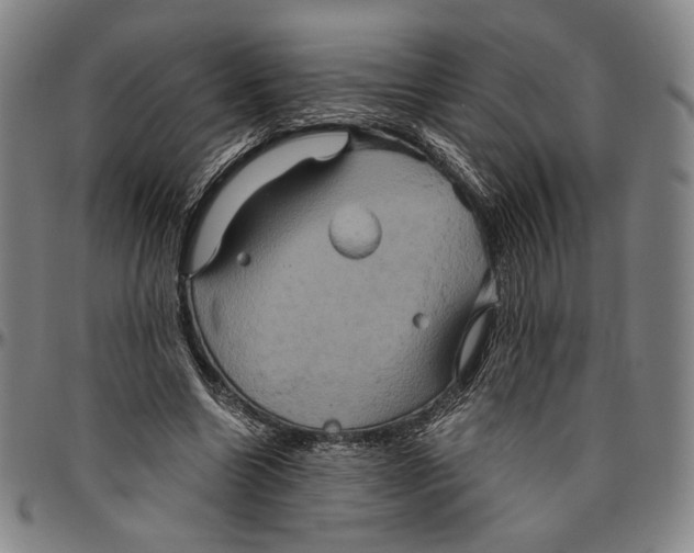 X0000096480538200802211216