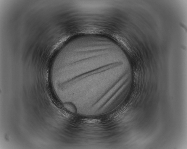 X0000096480539200802211216