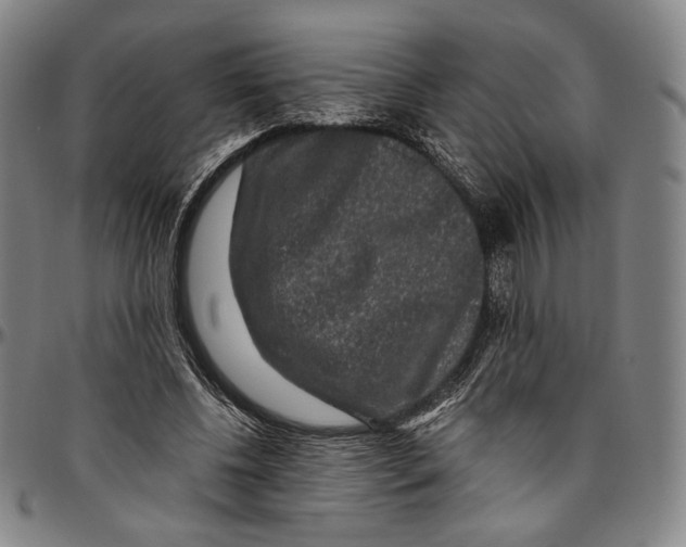 X0000096480540200802211216