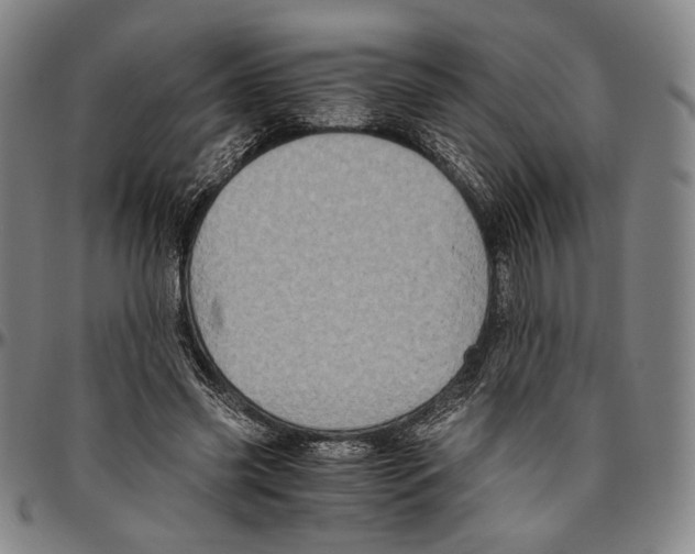X0000096480541200802211216