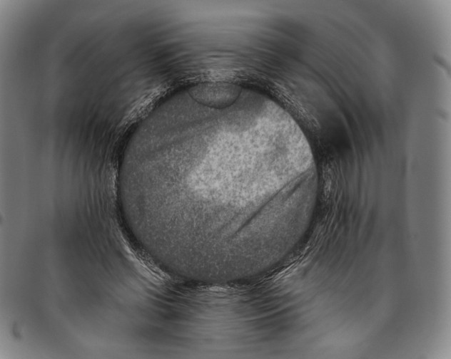 X0000096480542200802211216