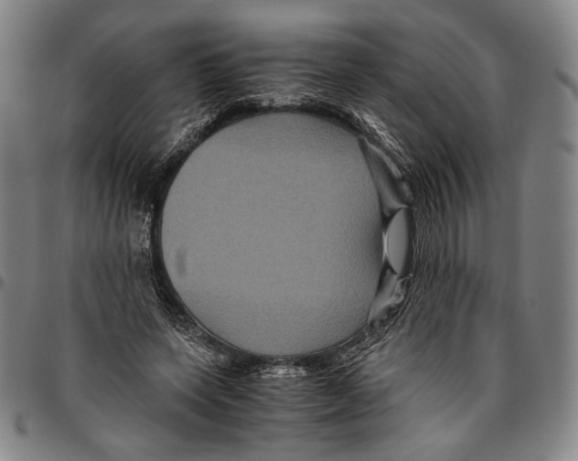 X0000096480543200802211216