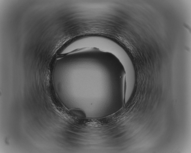 X0000096480544200802211216