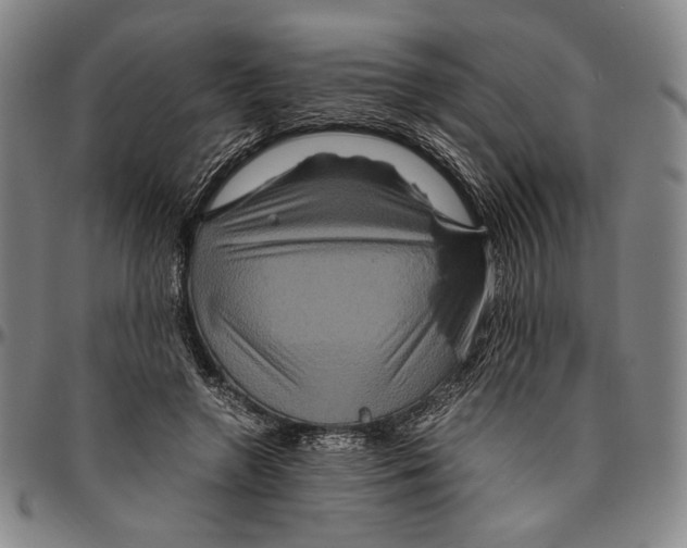 X0000096480546200802211216