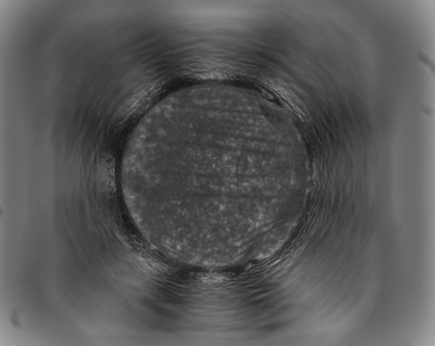 X0000096480547200802211216