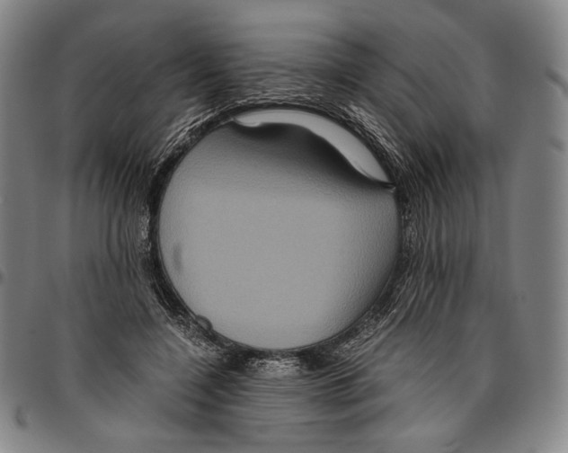X0000096480548200802211217