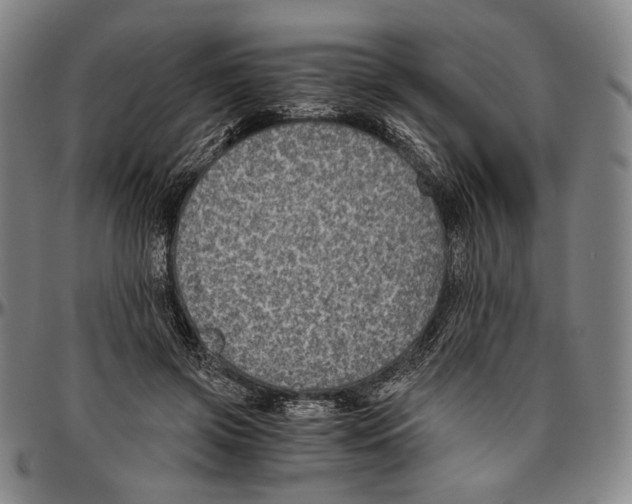 X0000096480549200802211217