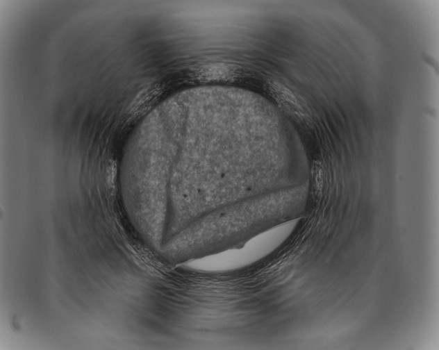 X0000096480550200802211217
