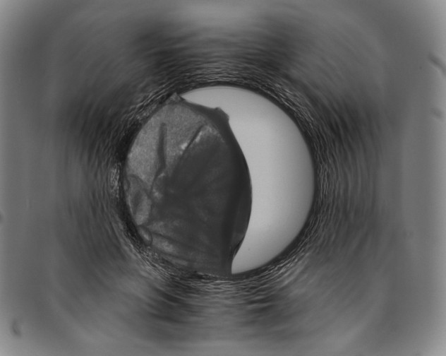 X0000096480551200802211217