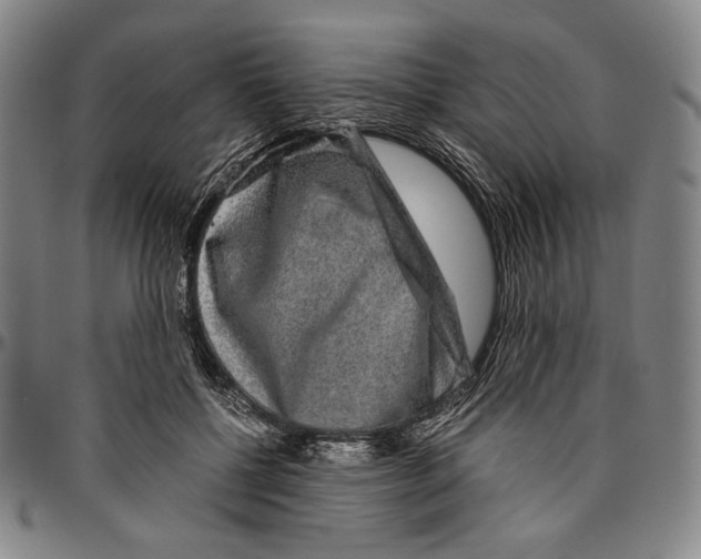 X0000096480552200802211217