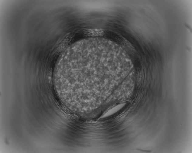X0000096480553200802211217