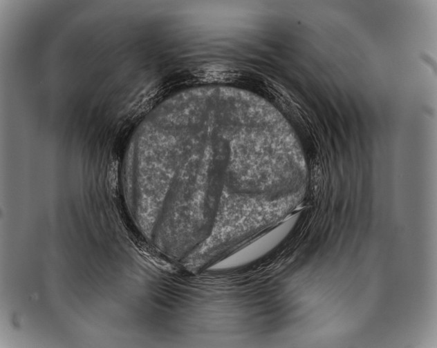 X0000096480554200802211217