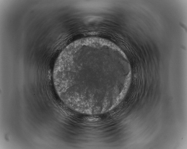 X0000096480555200802211217