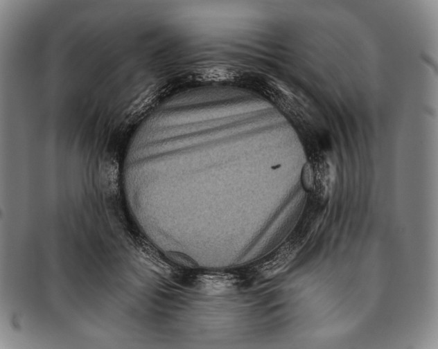 X0000096480556200802211217