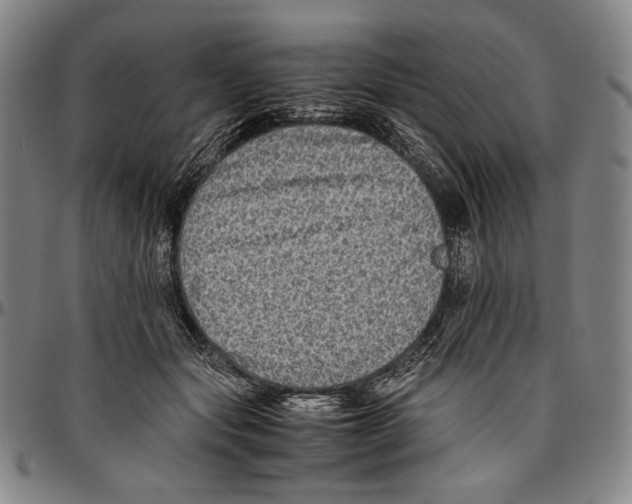 X0000096480557200802211217