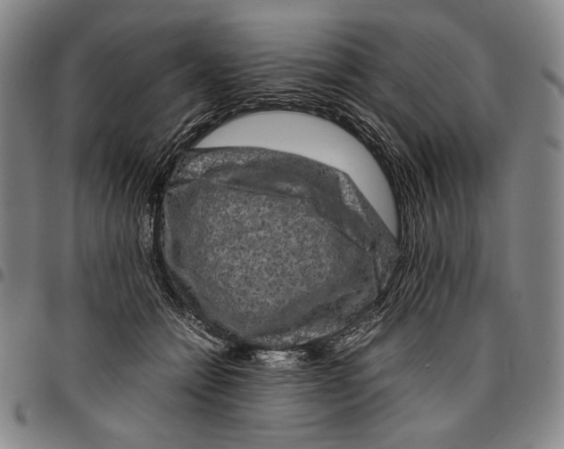 X0000096480558200802211217