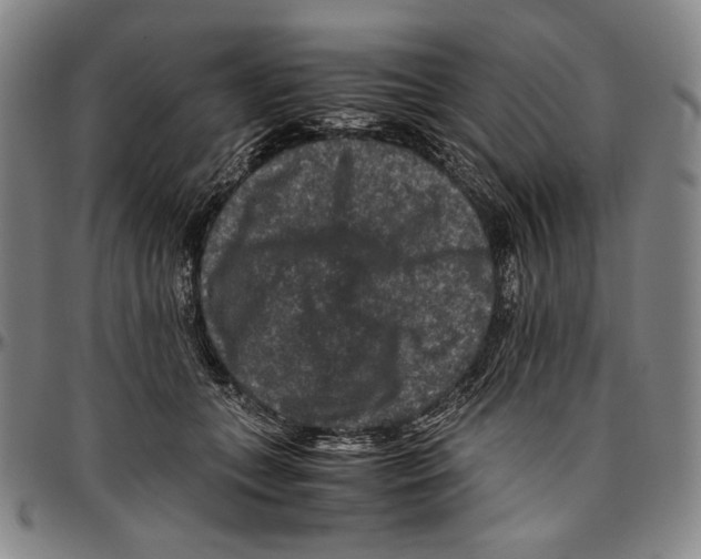 X0000096480559200802211217